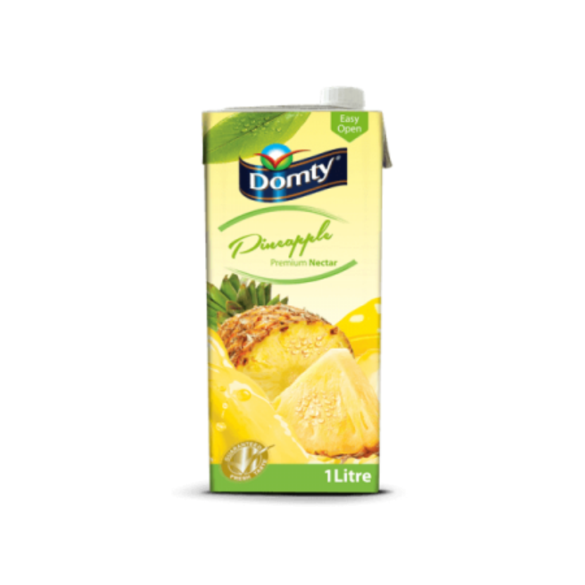 Picture of Domty Guava 1L